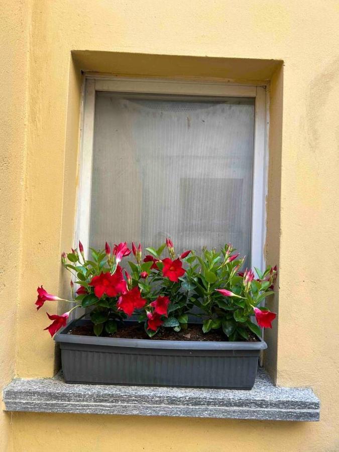 The Green Nest Olginate Exterior photo